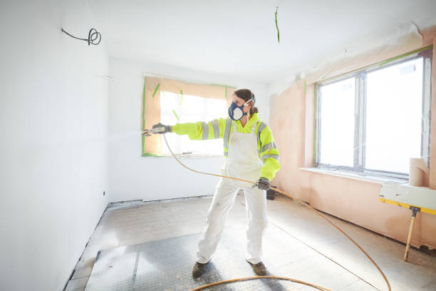 Best Black Mold Removal  in La Pine, OR